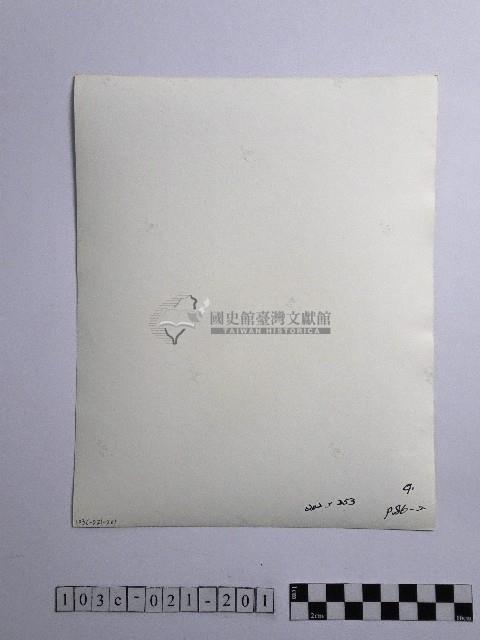 黃則修攝人群藏品圖，第2張