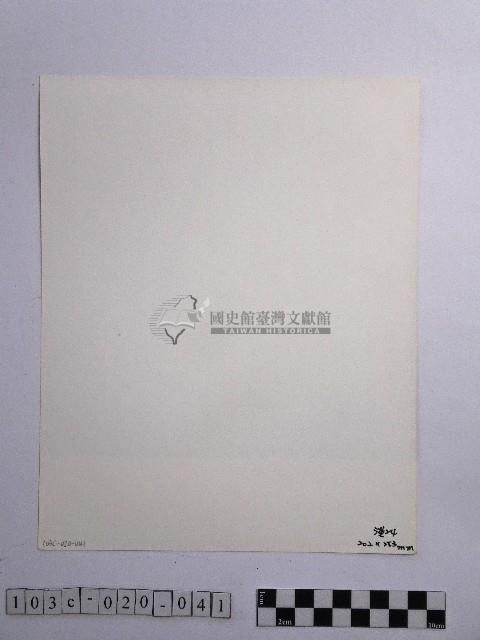 黃則修攝參天的原始巨木林藏品圖，第2張