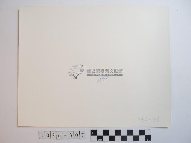 騎乘牛隻藏品圖，第2張