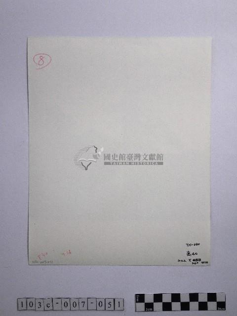 黃則修攝參天古木藏品圖，第2張