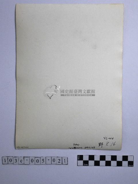 黃則修攝野柳地景藏品圖，第2張