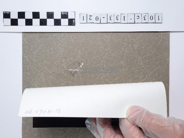 麵線菊藏品圖，第2張