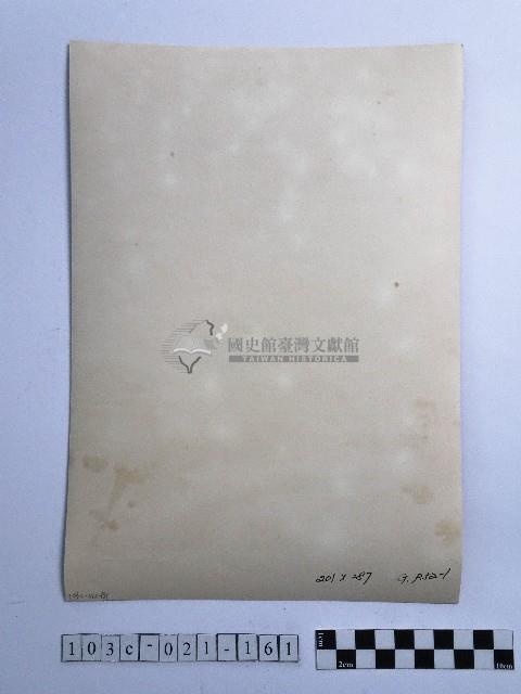 黃則修攝女子合影照藏品圖，第2張