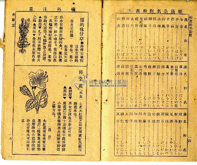 和漢草名對照表藏品圖，第2張
