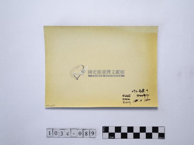 黃則修攝木片藏品圖，第2張