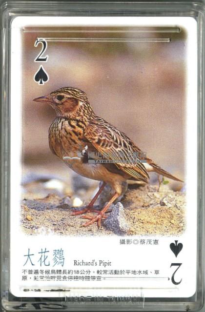 南路鷹工作室野鳥紀事1撲克牌藏品圖，第2張