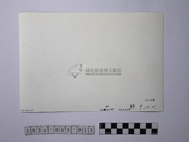 黃則修攝野柳地景燭臺石藏品圖，第2張