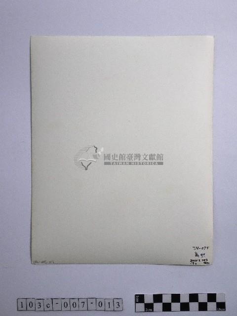 黃則修攝合歡主峰的冰樹藏品圖，第2張