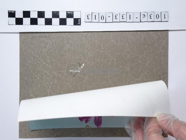 粉色花卉藏品圖，第2張