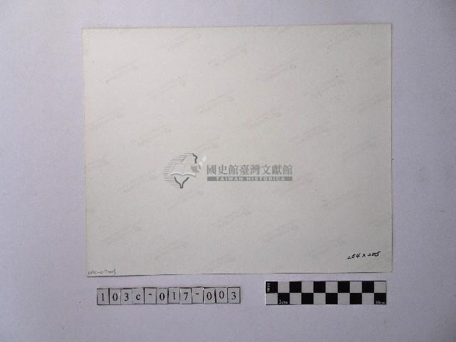 黃則修攝岸邊藏品圖，第2張