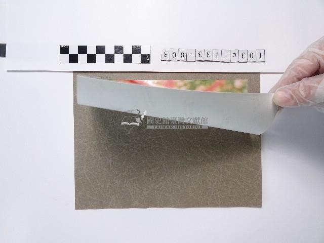 植物藏品圖，第2張