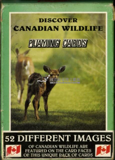 發現加拿大的野生動物英文字樣撲克牌藏品圖，第2張
