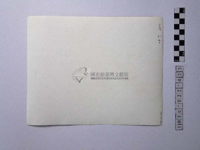 黃則修攝楓葉藏品圖，第2張