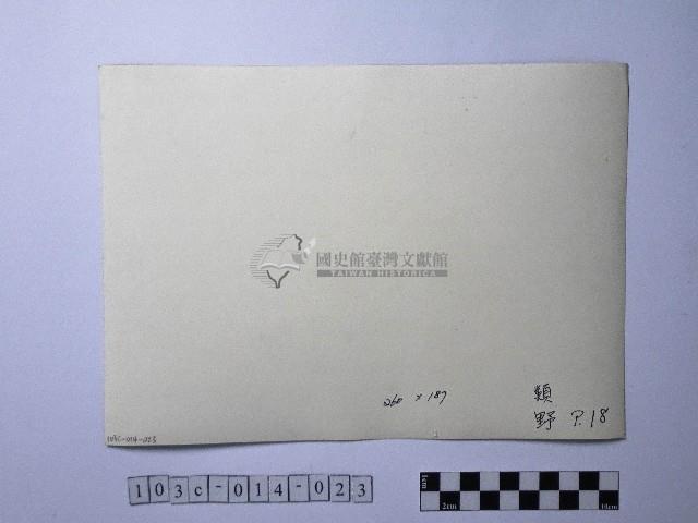 黃則修攝野柳地景藏品圖，第2張