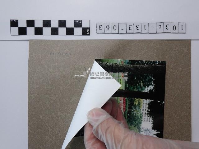 花圃藏品圖，第2張