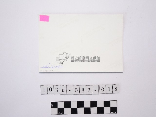 黃則修攝菊花藏品圖，第2張