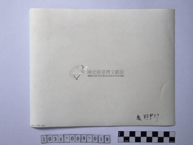 黃則修攝野柳地景藏品圖，第2張