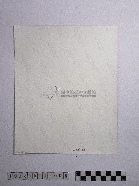 黃則修攝澎湖薊草藏品圖，第2張