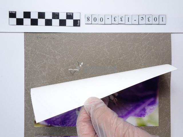 烏頭花藏品圖，第2張