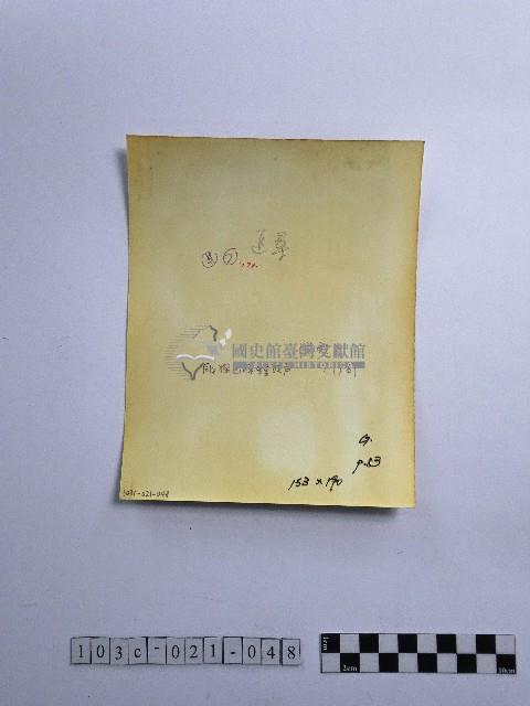 黃則修攝男子藏品圖，第2張