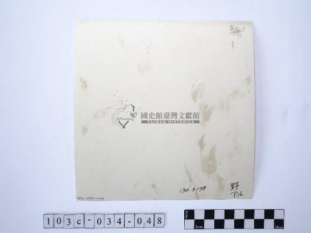 黃則修攝野柳地景藏品圖，第2張