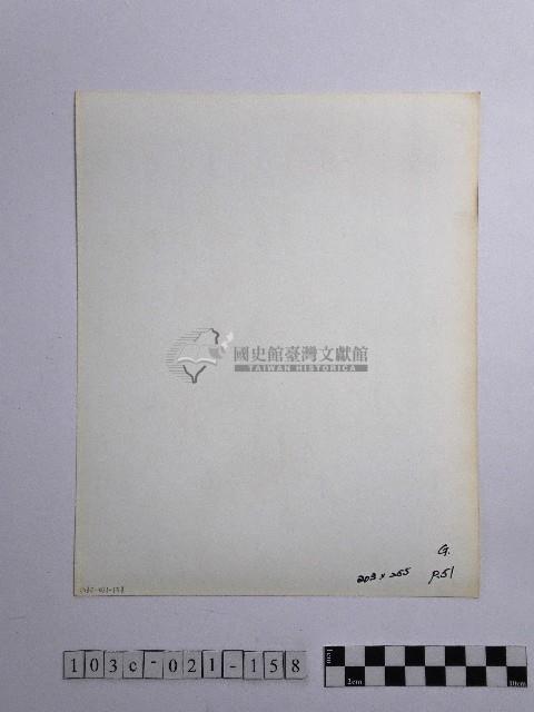 黃則修攝男子藏品圖，第2張