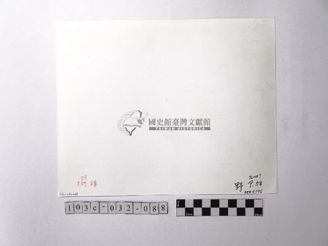 黃則修攝野柳地景藏品圖，第2張