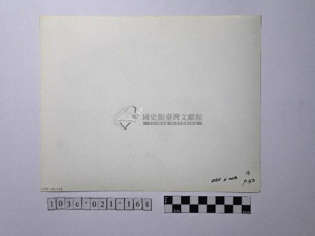 黃則修攝聖誕法會藏品圖，第2張