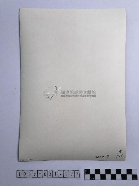 黃則修攝女子藏品圖，第2張