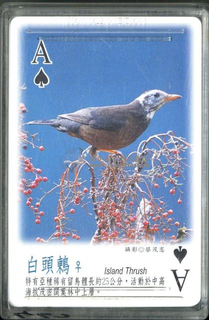 南路鷹工作室野鳥紀事5撲克牌藏品圖，第2張