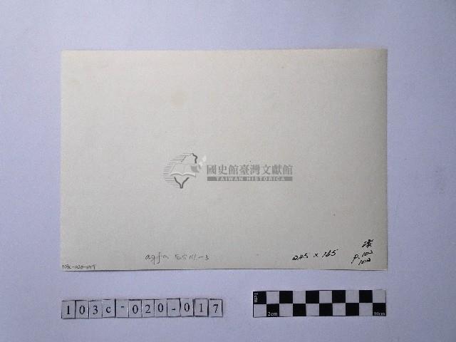 黃則修攝晒網藏品圖，第2張