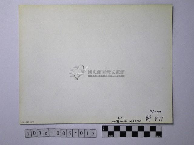 黃則修攝野柳地景藏品圖，第2張