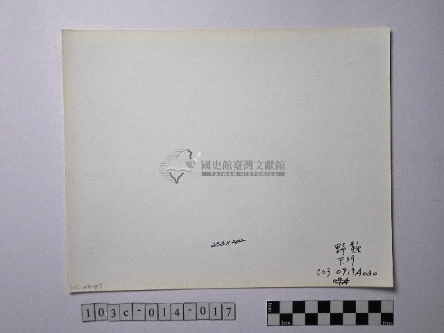 黃則修攝野柳地景藏品圖，第2張
