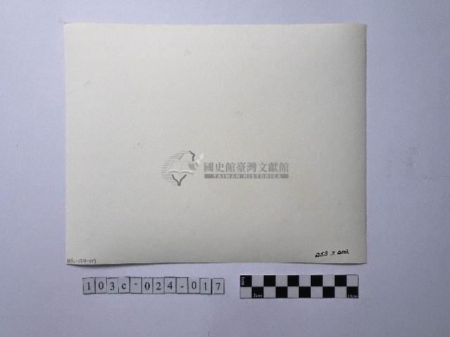 黃則修攝男孩合影照藏品圖，第2張