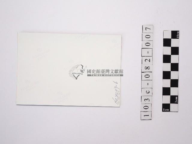 黃則修攝蝴蝶蘭藏品圖，第2張