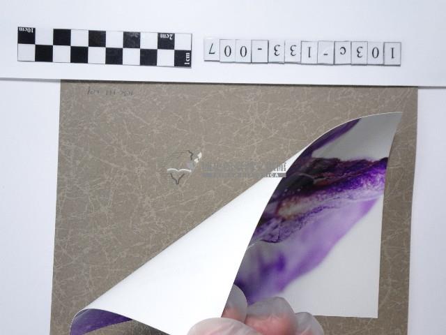 烏頭花藏品圖，第2張