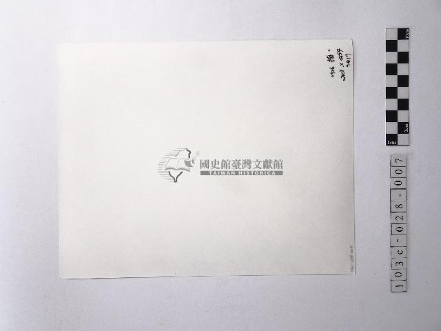 黃則修攝樹根特寫照片藏品圖，第2張