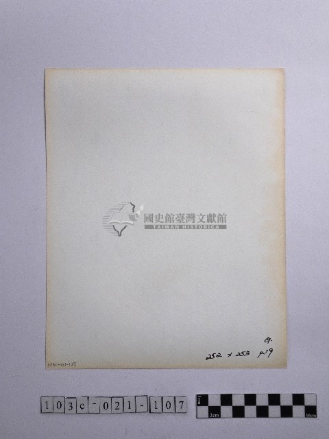 黃則修攝瓜筒藏品圖，第2張