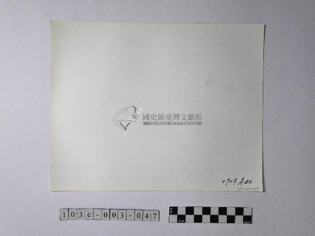 黃則修攝野柳地景蜂窩岩藏品圖，第2張