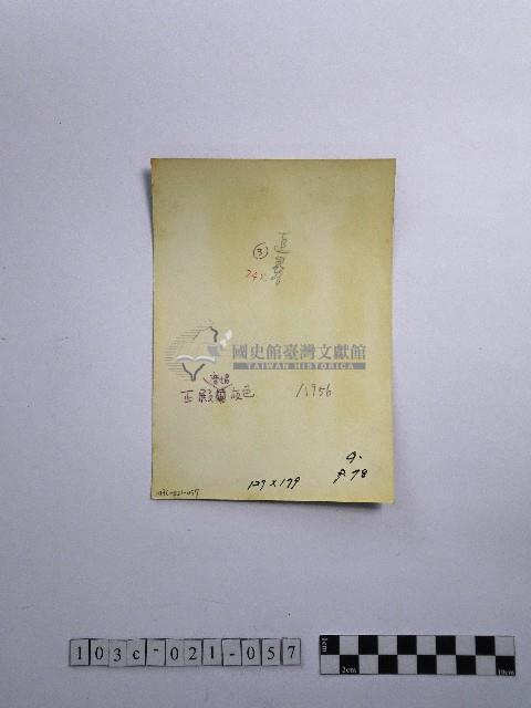 黃則修攝正殿廣場夜色藏品圖，第2張