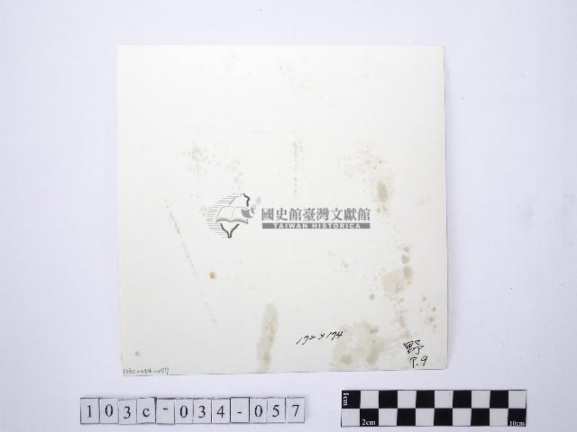 黃則修攝野柳地景燭臺石藏品圖，第2張