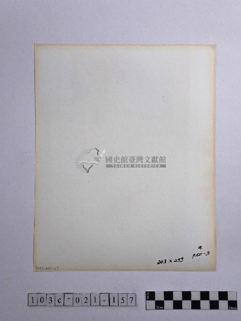 黃則修攝人群藏品圖，第2張