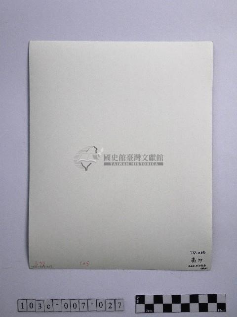黃則修攝高山紡娘藏品圖，第2張