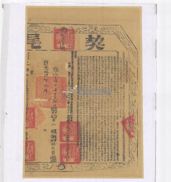 道光四年魏宜政等四人仝立杜賣盡根田園契（含契尾）藏品圖，第2張