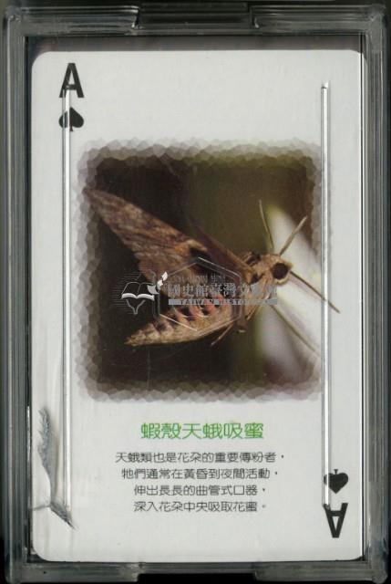 蟲鳴蝶舞主題撲克牌藏品圖，第2張