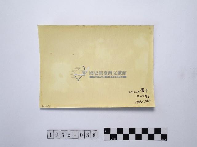 黃則修攝漁網藏品圖，第2張