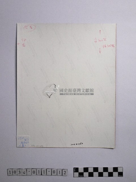 黃則修攝鬱金香2藏品圖，第2張