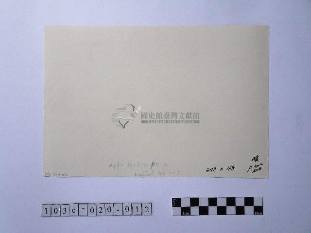 黃則修攝晒網藏品圖，第2張