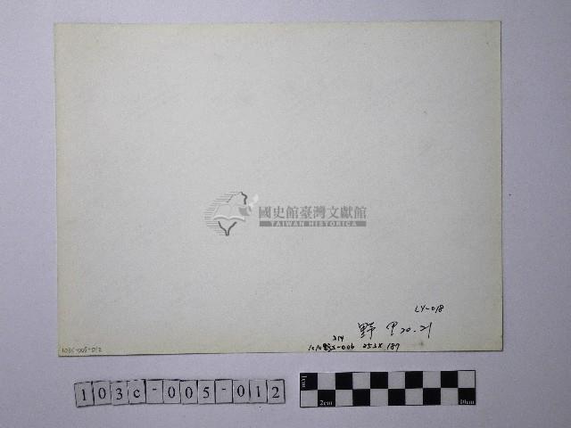 黃則修攝野柳地景燭臺石藏品圖，第2張