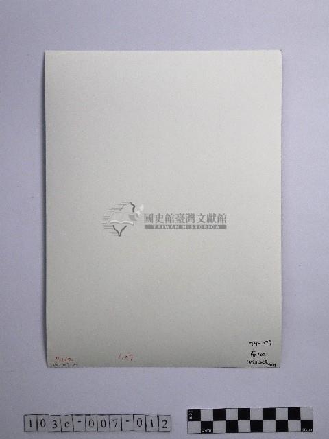 黃則修攝雪中草藏品圖，第2張